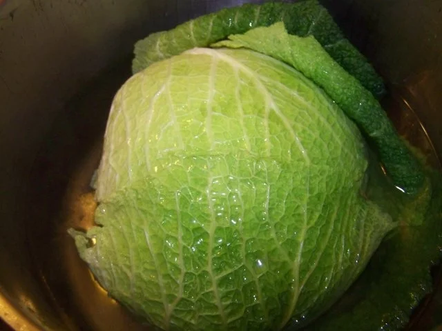 Rezept: gefüllter Wirsingkohl Bild Nr. 2 gefüllter Wirsingkohl - Rezept - Bild Nr. 2