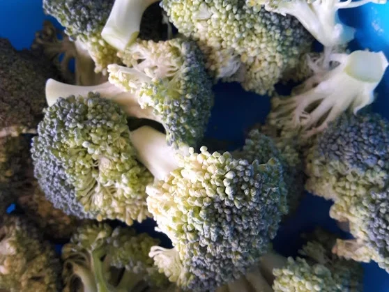 Spargel - Brokkoli - Auflauf - Rezept - Bild Nr. 7