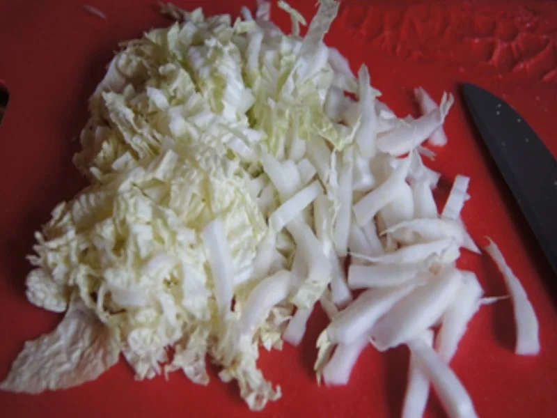 Rezept: Gebratene Nudeln mit Putenbrustfilet Bild Nr. 16 Gebratene Nudeln mit Putenbrustfilet - Rezept - Bild Nr. 16