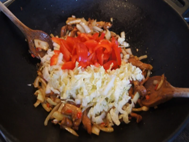 Rezept: Gebratene Nudeln mit Putenbrustfilet Bild Nr. 26 Gebratene Nudeln mit Putenbrustfilet - Rezept - Bild Nr. 26