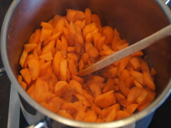 Asiatische Möhrensuppe mit Honig Putenspießen - einfach - von MausVoh
