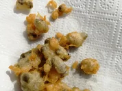 Kapern frittiet - Rezept - Bild Nr. 2