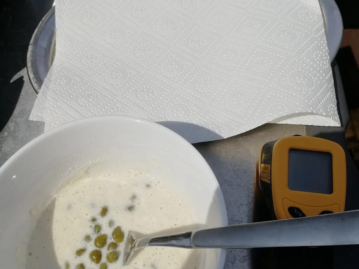 Kapern frittiet - Rezept - Bild Nr. 3