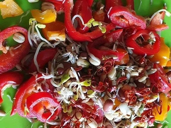 Rezept: Nudelauflauf RAZIFAZI Bild Nr. 9 Nudelauflauf RAZIFAZI - Rezept - Bild Nr. 9