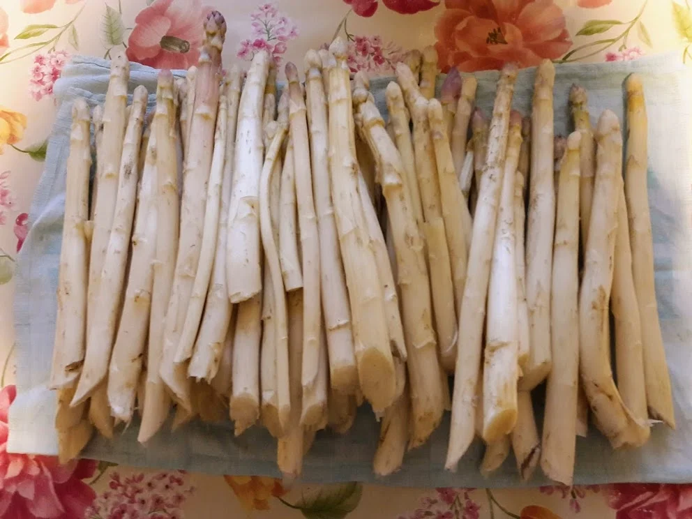 Spargelsuppe - Rezept - Bild Nr. 3