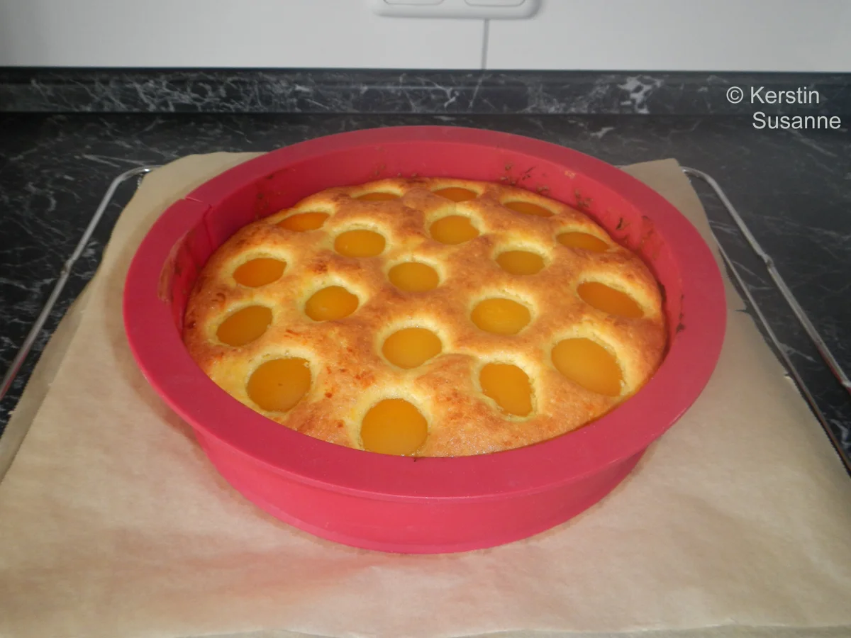 Rezept: Quark-Aprikosen-Kuchen Bild Nr. 10408 Quark-Aprikosen-Kuchen - Rezept - Bild Nr. 10408