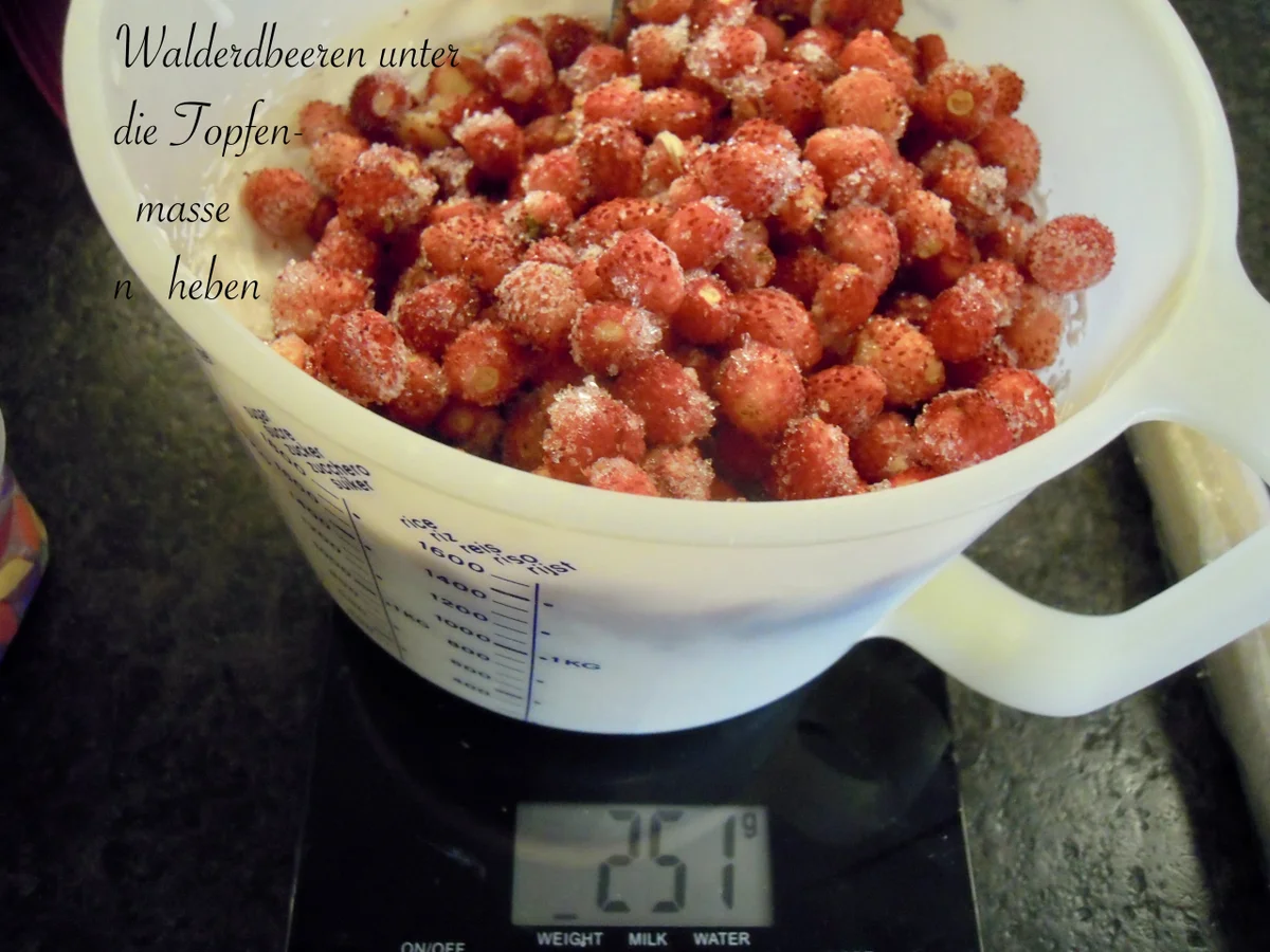 Rezept: Topfen - Erdbeer - Schnitten Bild Nr. 10417 Topfen - Erdbeer - Schnitten - Rezept - Bild Nr. 10417