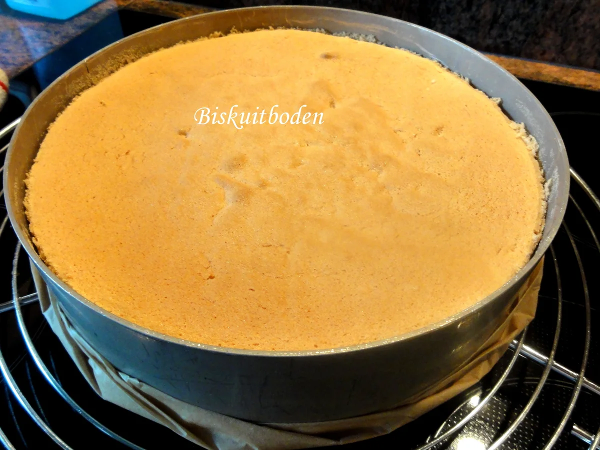 Biskuit:   eine " BEERIGE " ~ TORTE - Rezept - Bild Nr. 10437