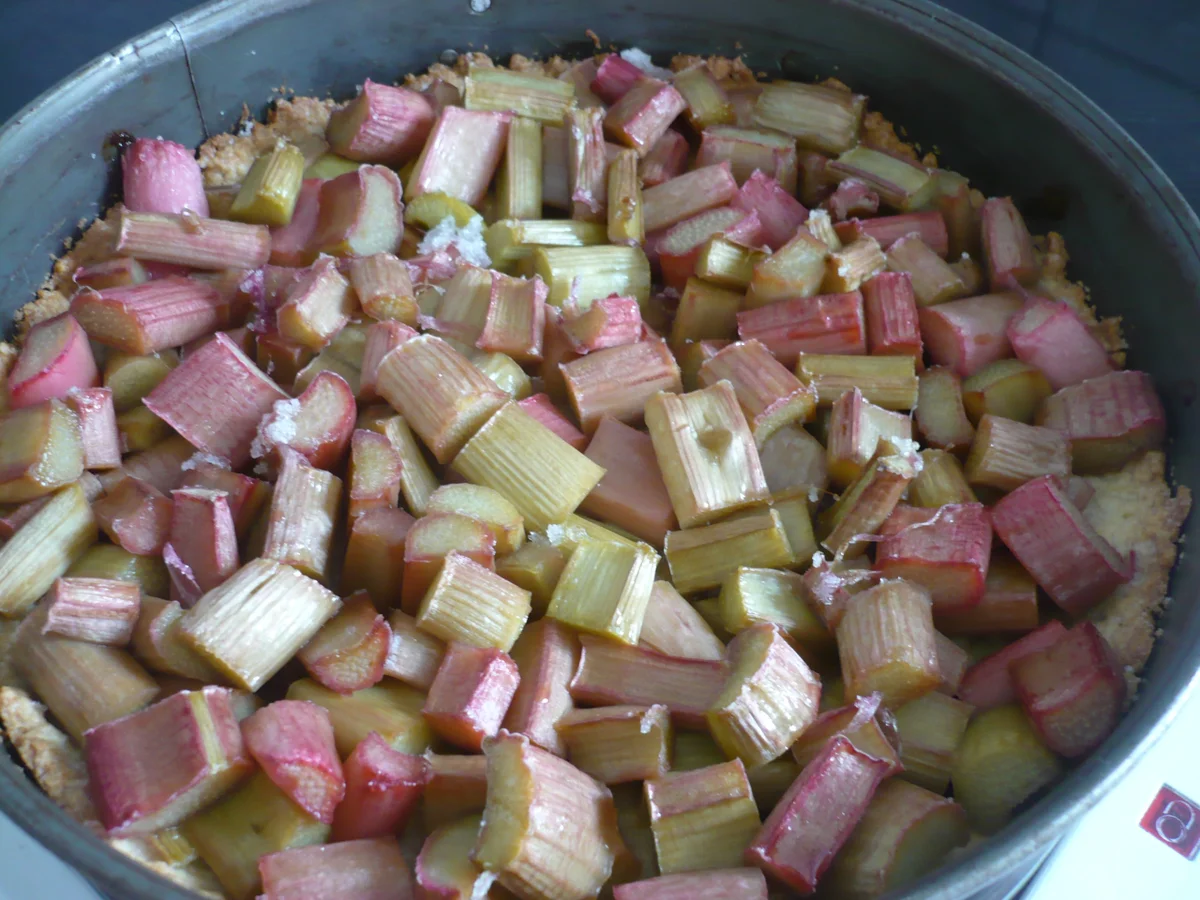 Rezept: Rhabarber-Creme - Kuchen Bild Nr. 9 Rhabarber-Creme - Kuchen - Rezept - Bild Nr. 9