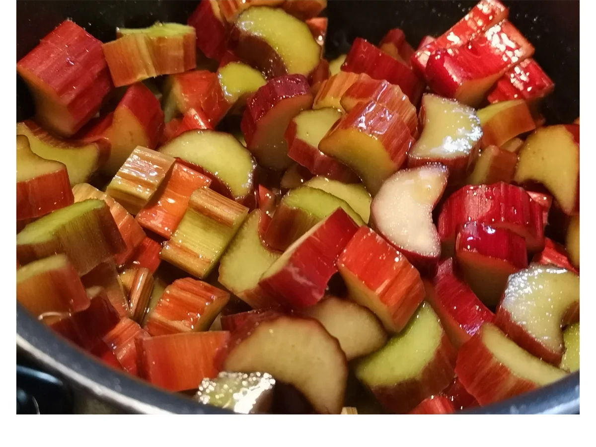 Rezept: BiNe` S RHABARBER CHIA MARMELADE Bild Nr. 2 BiNe` S RHABARBER CHIA MARMELADE - Rezept - Bild Nr. 2