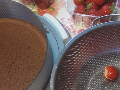 Joghurtstracciatella-Torte und Erdbeer-Torte - Rezept - Bild Nr. 6