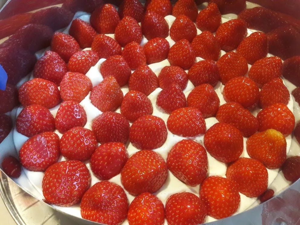 Joghurtstracciatella-Torte und Erdbeer-Torte - Rezept - Bild Nr. 13