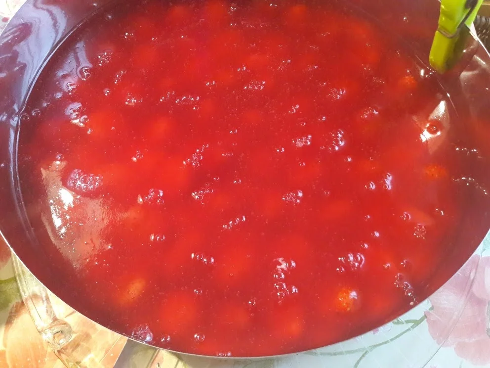 Joghurtstracciatella-Torte und Erdbeer-Torte - Rezept - Bild Nr. 16