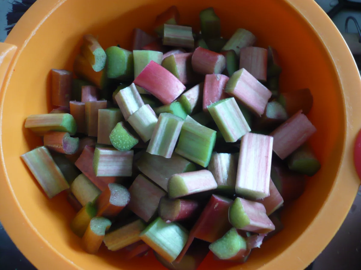 Rhabarber Creme - Rezept - Bild Nr. 3