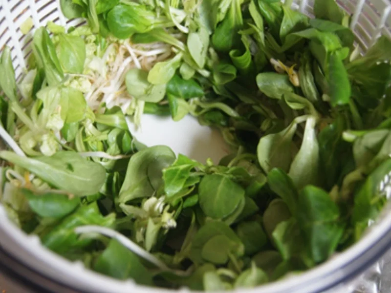 Hähnchenspieße mit Erdnusssauce und gemischter Salat mit Orangendressing - Rezept - Bild Nr. 14