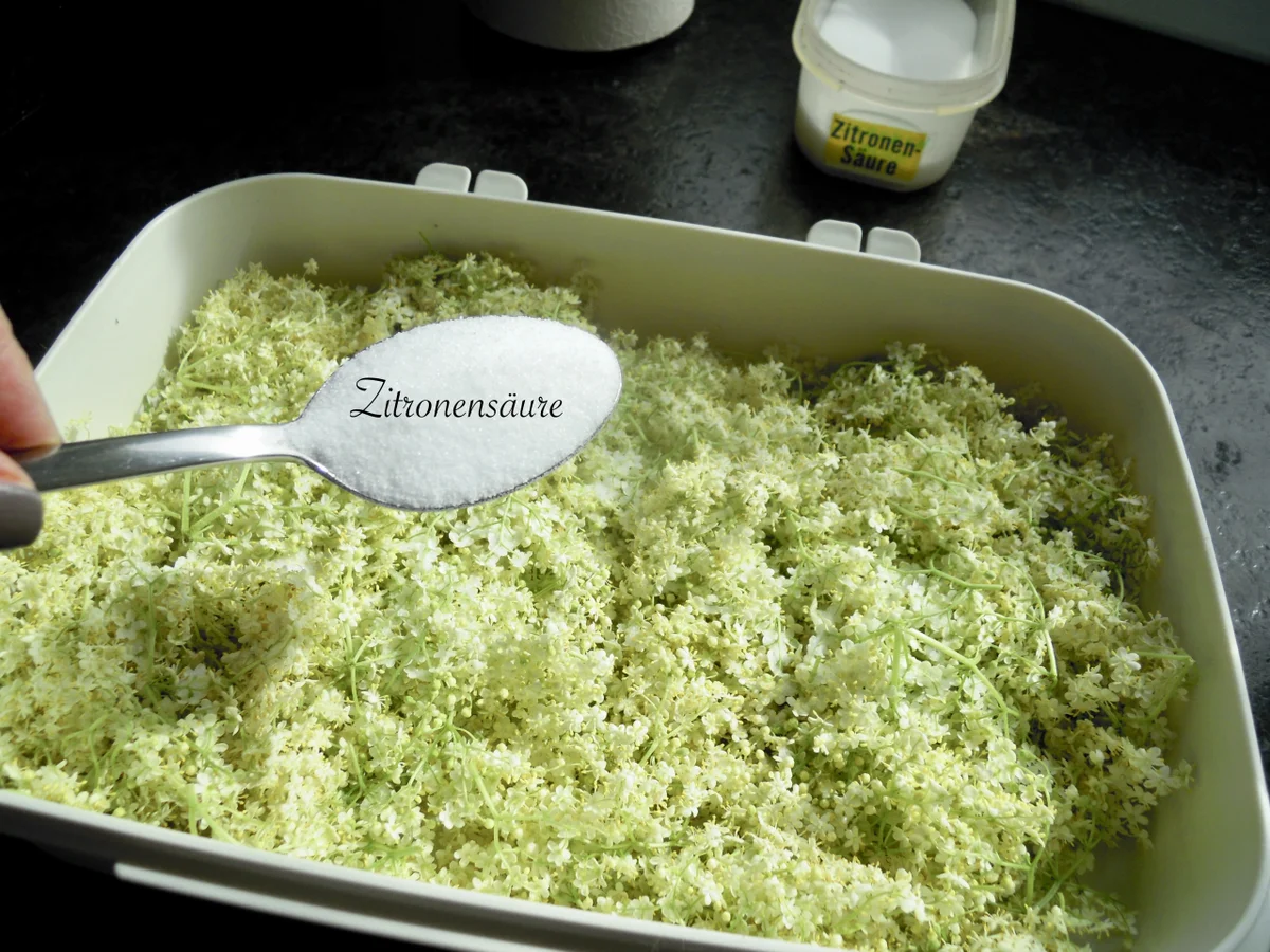 Rezept: Holunder Blüten Sirup Bild Nr. 3 Holunder Blüten Sirup - Rezept - Bild Nr. 3