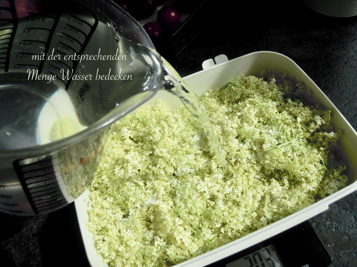 Rezept: Holunder Blüten Sirup Bild Nr. 6 Holunder Blüten Sirup - Rezept - Bild Nr. 6