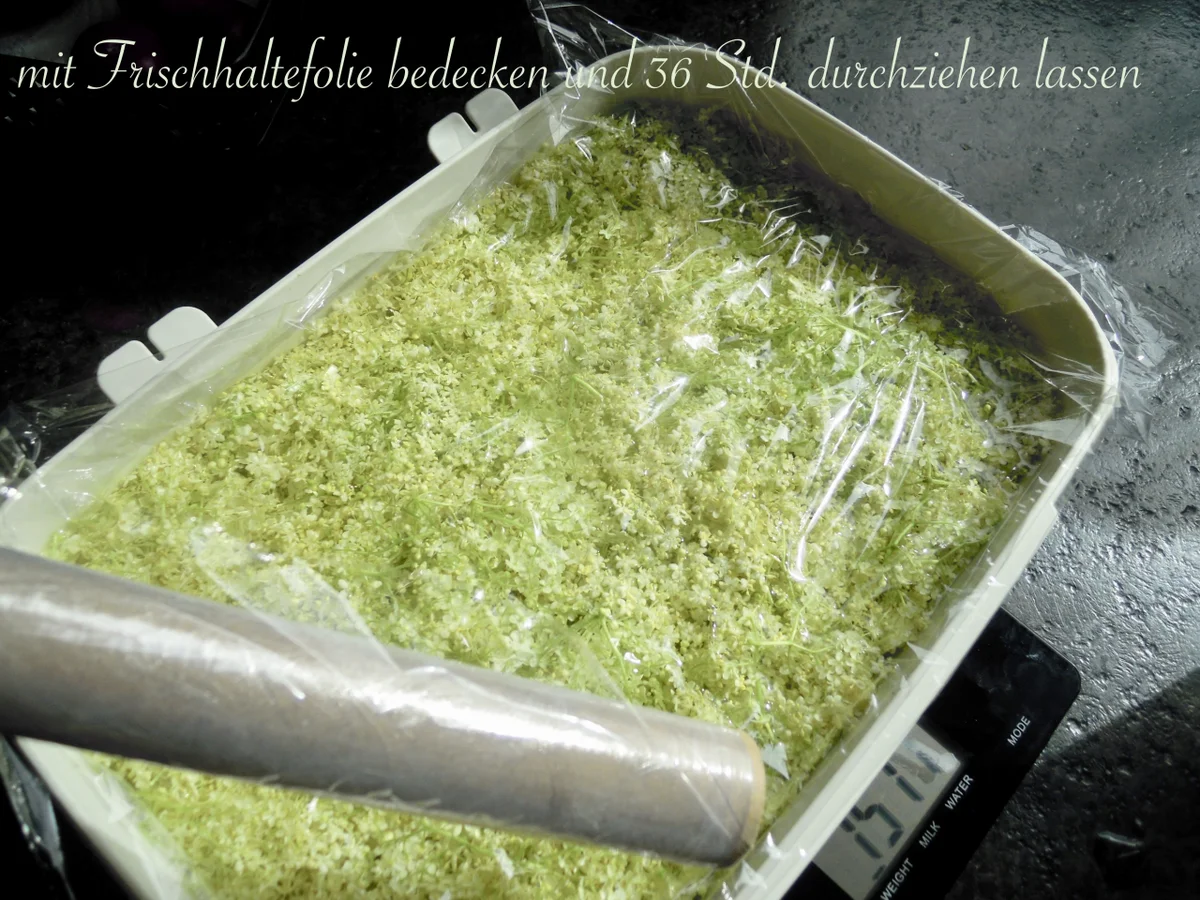 Rezept: Holunder Blüten Sirup Bild Nr. 7 Holunder Blüten Sirup - Rezept - Bild Nr. 7