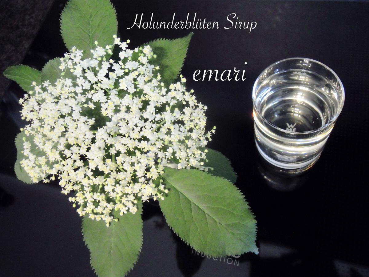 Holunder Blüten Sirup - Rezept - Bild Nr. 21