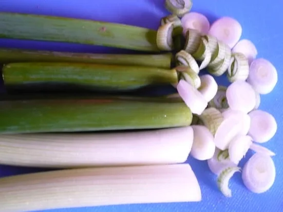 Dattelcreme - Rezept - Bild Nr. 4