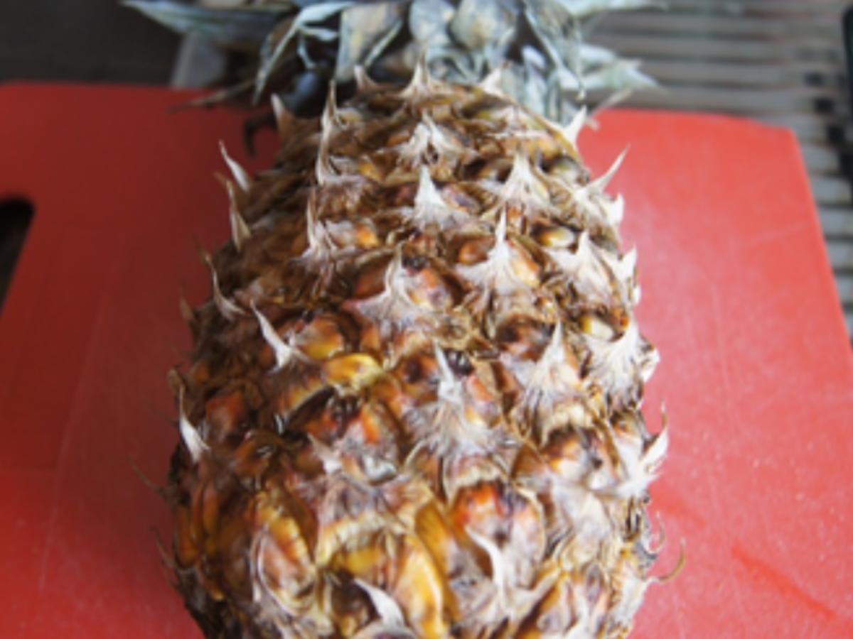 Semmelschmarren mit Honig-Ananas - Rezept - Bild Nr. 10467