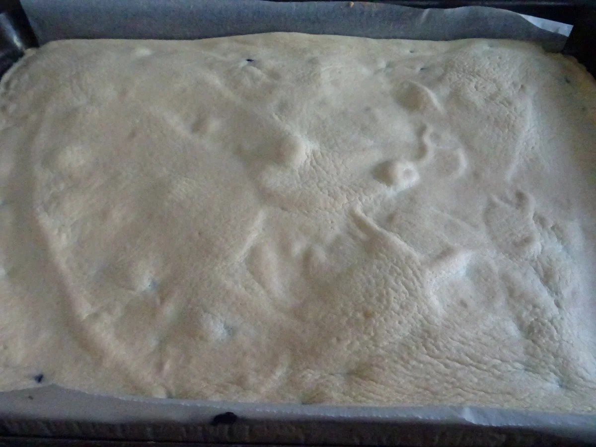 Heidelbeer-Biskuit-Rolle - Rezept - Bild Nr. 9