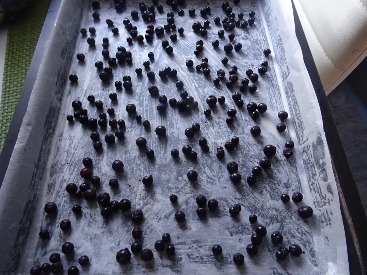 Heidelbeer-Biskuit-Rolle - Rezept - Bild Nr. 11