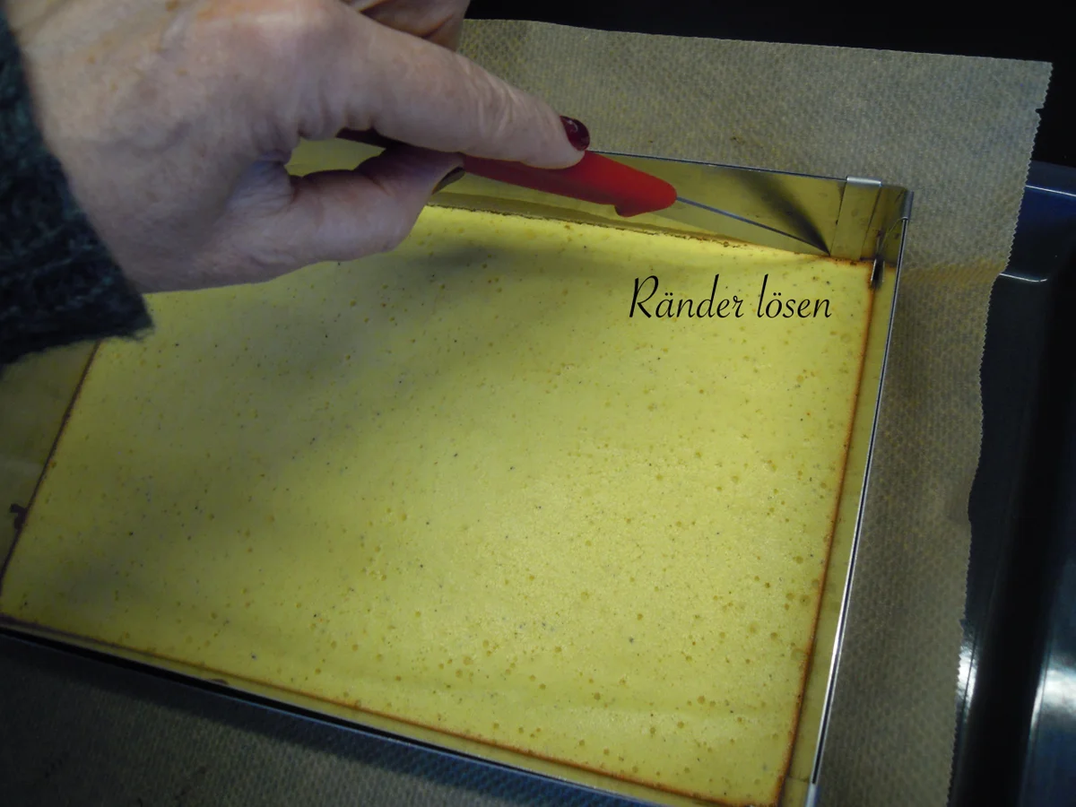 Rezept: Holunder Blüten Creme Törtchen Bild Nr. 38 Holunder Blüten Creme Törtchen - Rezept - Bild Nr. 38