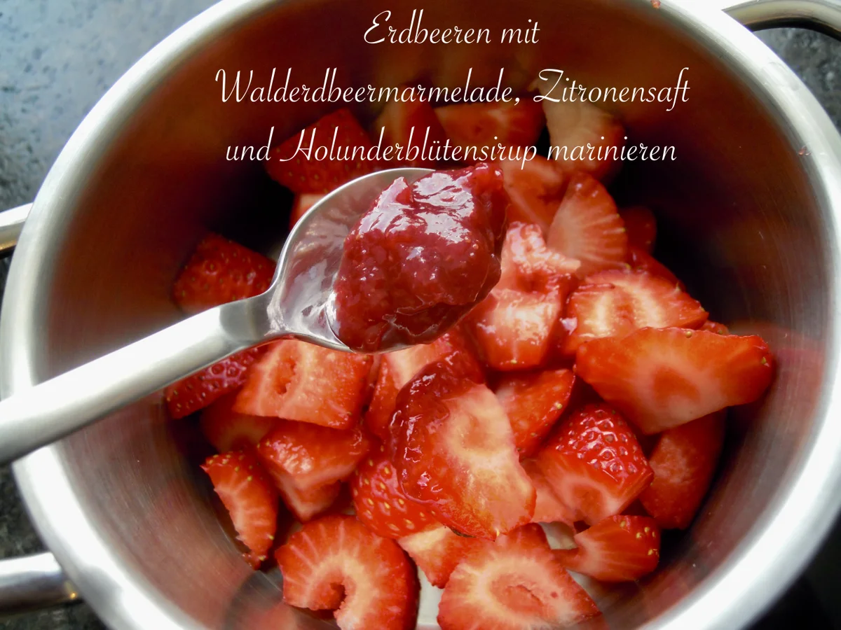 Rezept: Holunder Blüten Creme Törtchen Bild Nr. 10459 Holunder Blüten Creme Törtchen - Rezept - Bild Nr. 10459