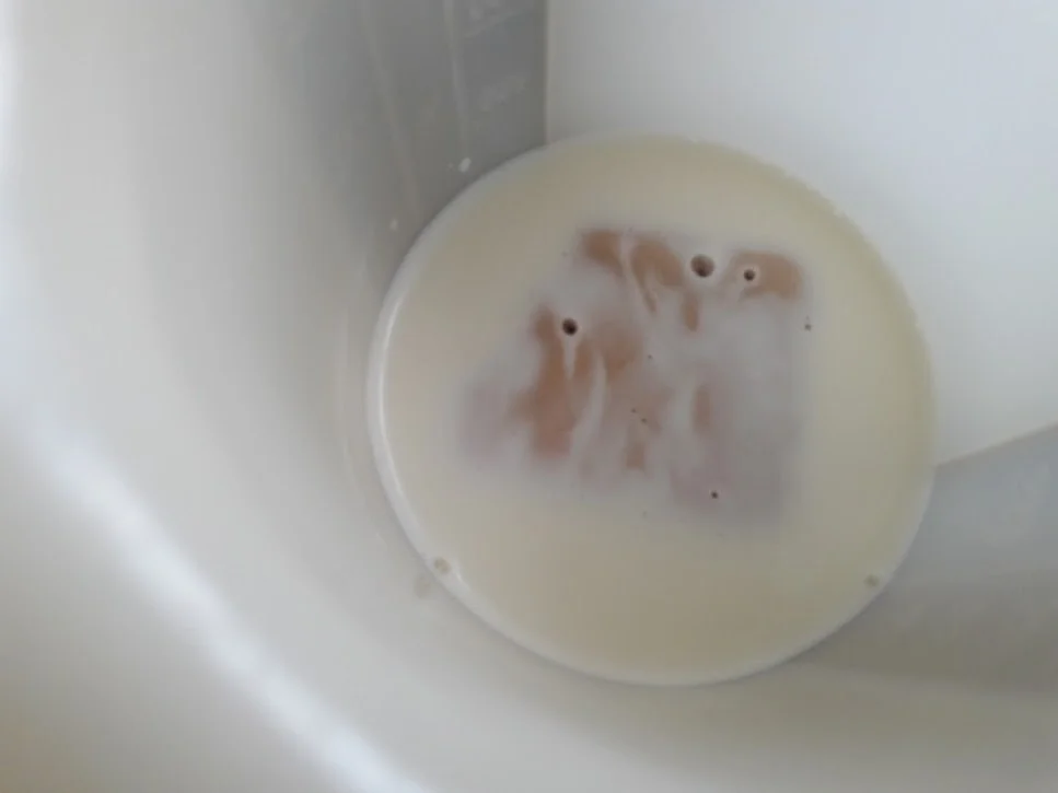 Hefeschnecken - Rezept - Bild Nr. 7