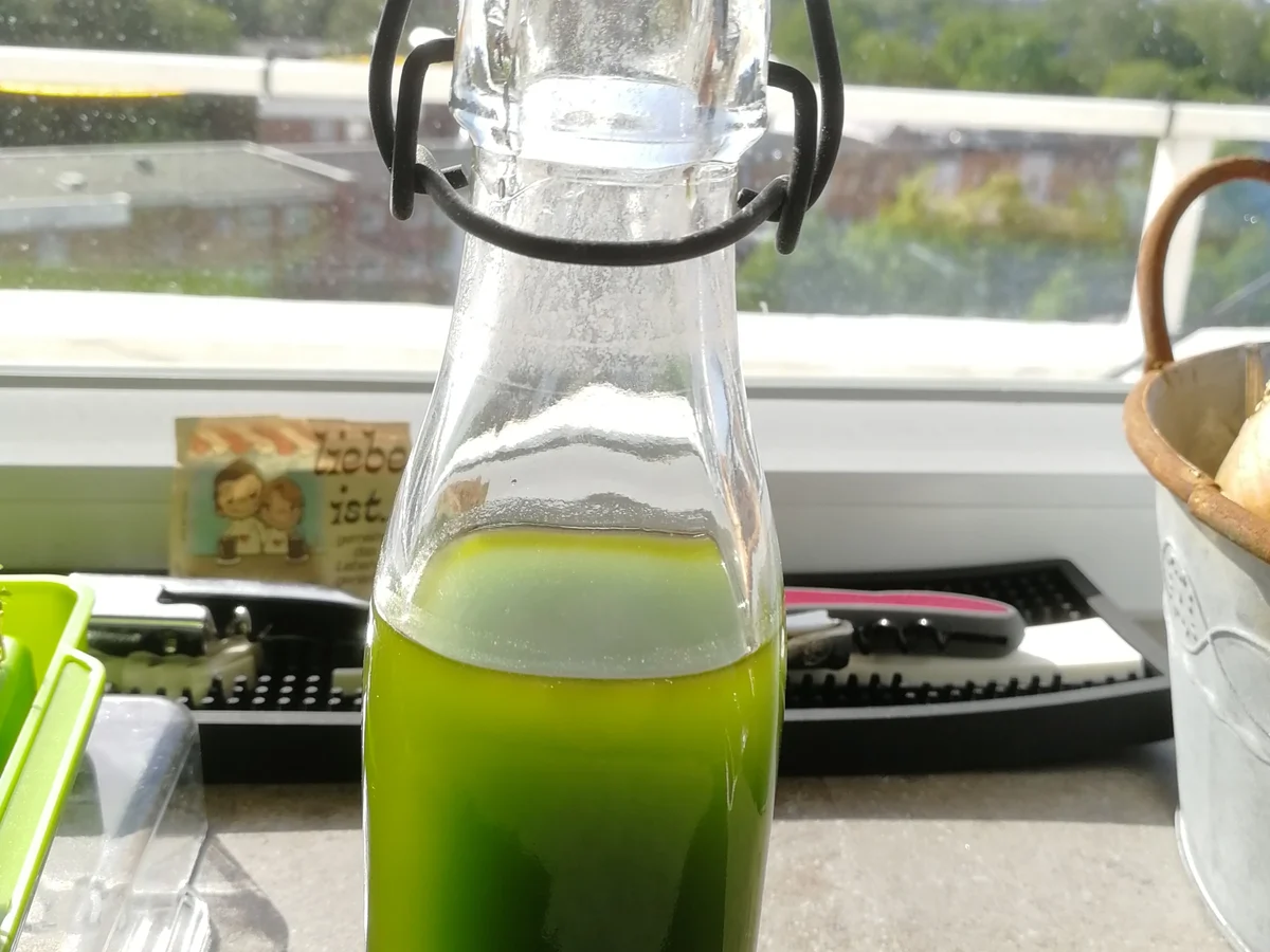 Petersilien ÖL - Rezept - Bild Nr. 2