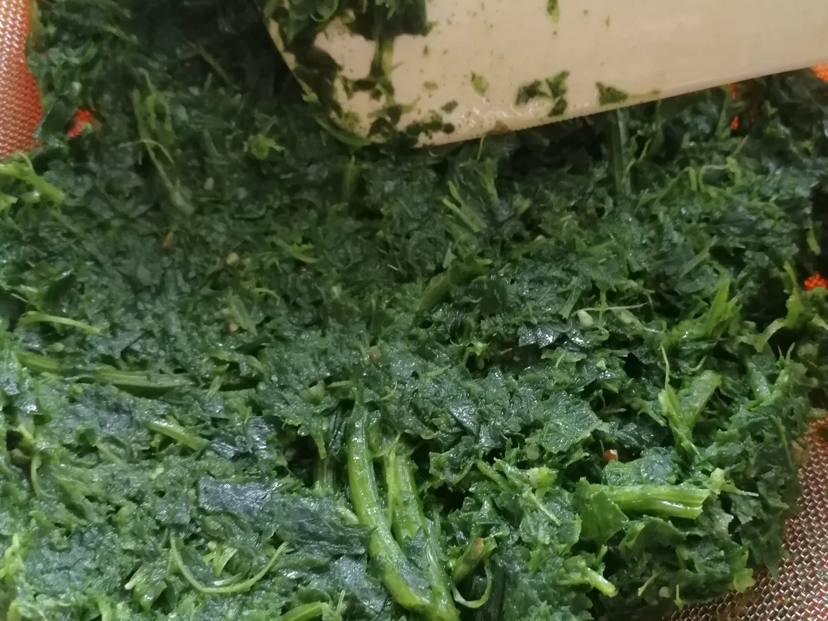 Petersilien ÖL - Rezept - Bild Nr. 4