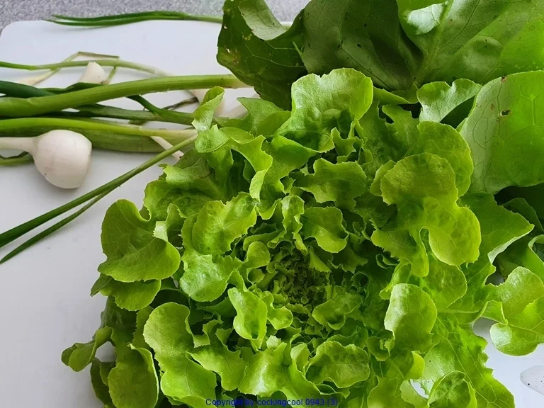 Hähnchenbrust am Knochen mit Gartensalat - Rezept - Bild Nr. 10461