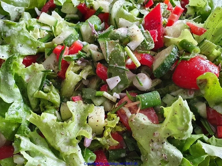 Hähnchenbrust am Knochen mit Gartensalat - Rezept - Bild Nr. 10470