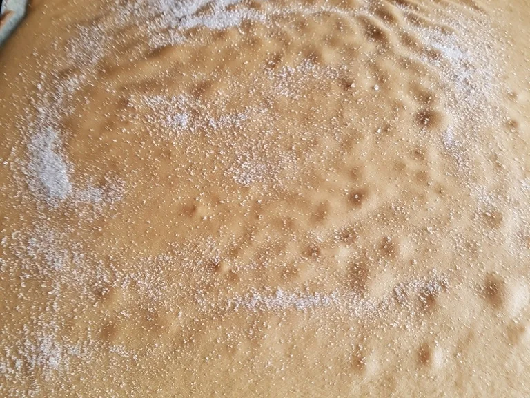 Rezept: Frische Erdbeeren - Erdbeerkaramel in der Biskuitrolle XXL Bild Nr. 10466 Frische Erdbeeren - Erdbeerkaramel in der Biskuitrolle XXL - Rezept - Bild Nr. 10466