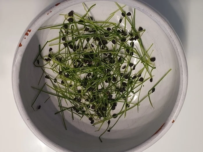 Spare Ribs - Salat- Röstkartoffel - Rezept - Bild Nr. 3