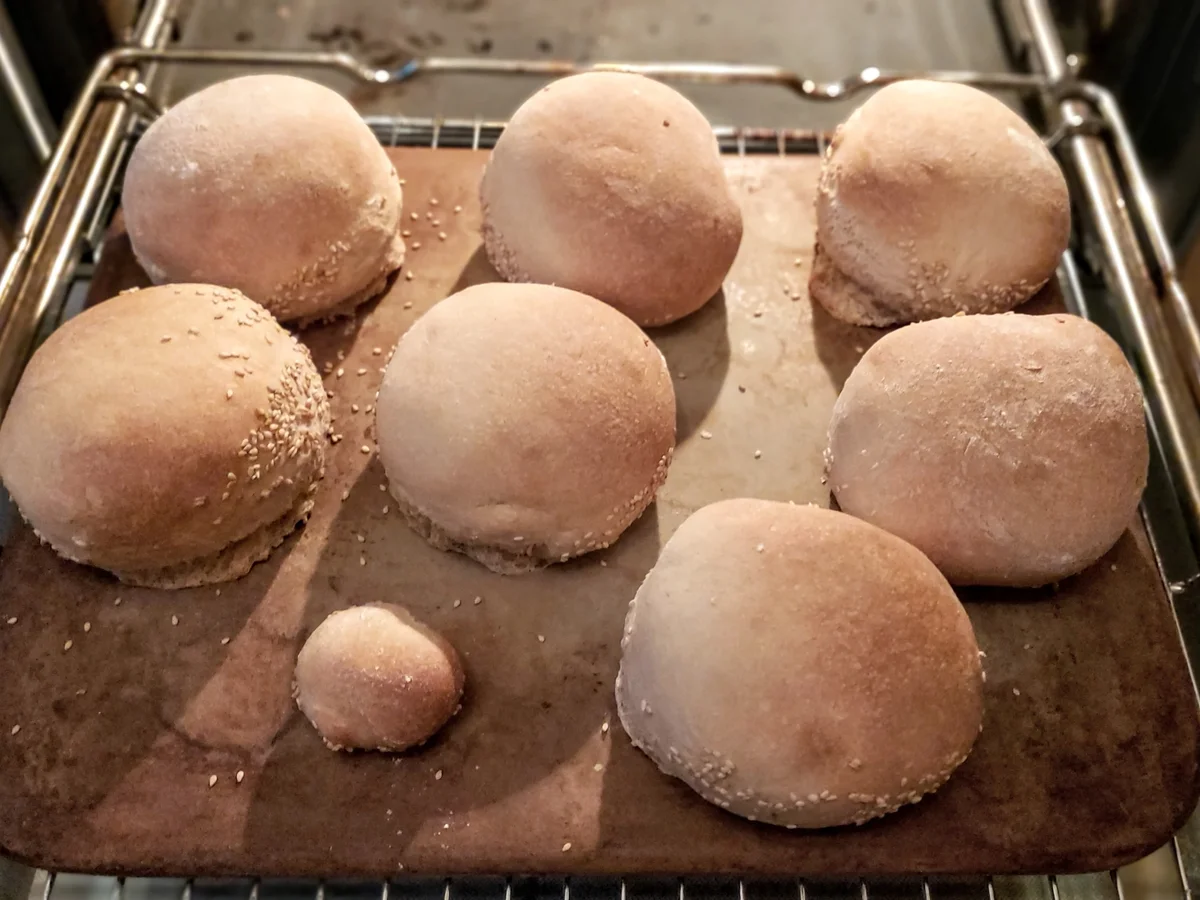Leckere Brötchen - Rezept - Bild Nr. 18
