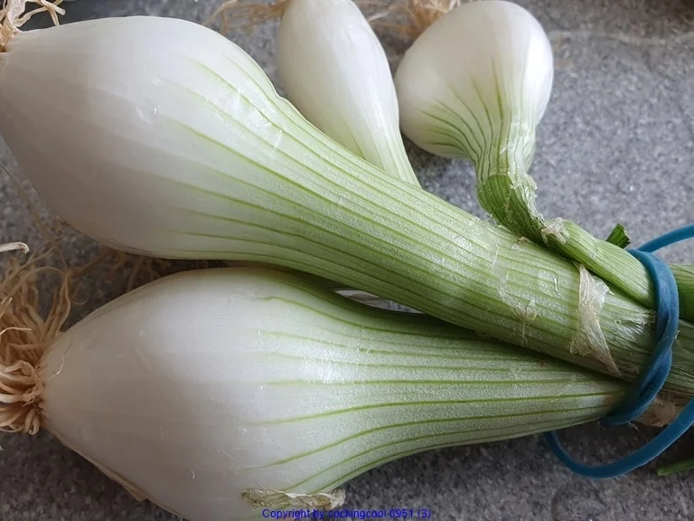 Kartoffelsalat  (hübsch im Jahr 2020) - Rezept - Bild Nr. 4