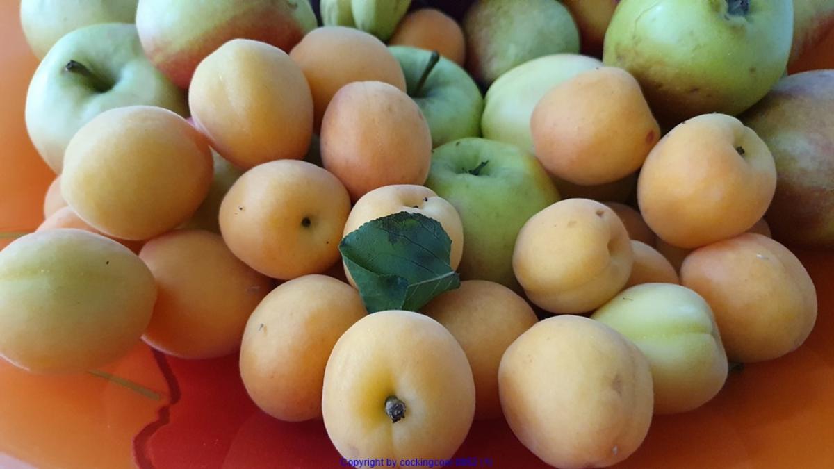 Aprikosencreme (Marillencreme) könnte man auch Fruchtaufstrich nennen - Rezept - Bild Nr. 3