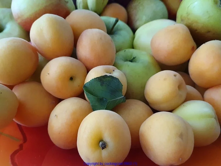 Aprikosencreme (Marillencreme) könnte man auch Fruchtaufstrich nennen - Rezept - Bild Nr. 3