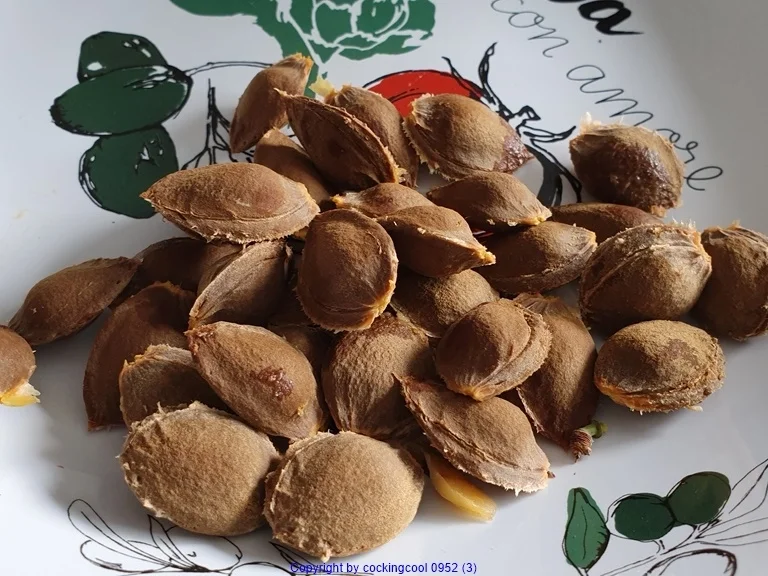 Aprikosencreme (Marillencreme) könnte man auch Fruchtaufstrich nennen - Rezept - Bild Nr. 7