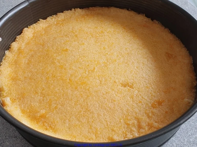 Joghurt Aprikosen Torte - Rezept - Bild Nr. 5