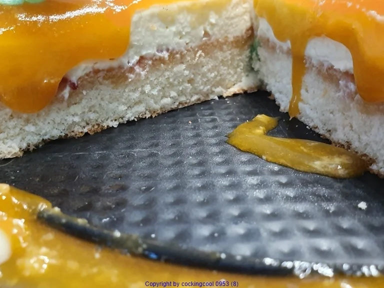 Joghurt Aprikosen Torte - Rezept - Bild Nr. 7