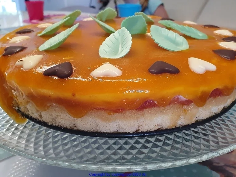 Joghurt Aprikosen Torte - Rezept - Bild Nr. 8