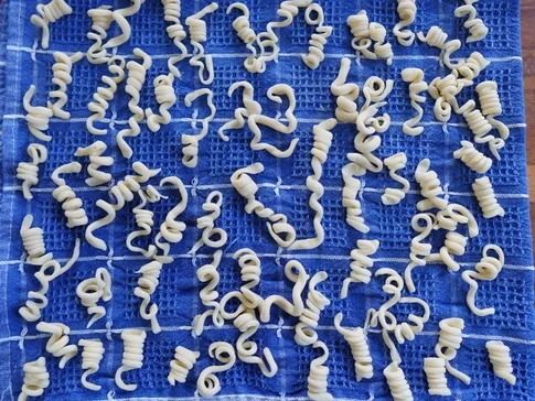 Selbstgemachte Spiralnudeln mit Pilzsauce - Rezept - Bild Nr. 5