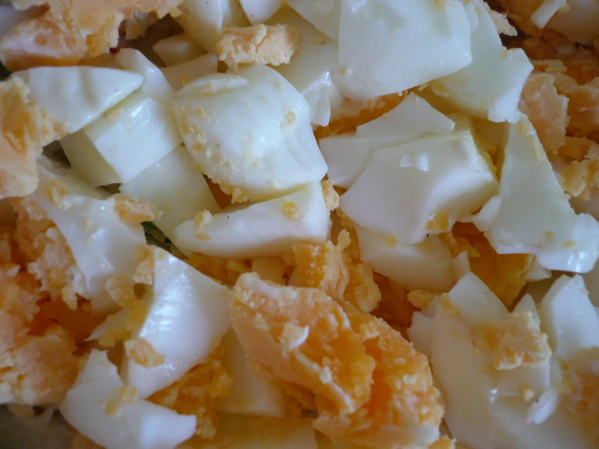 Rezept: Blumenkohl - Salat Bild Nr. 9 Blumenkohl - Salat - Rezept - Bild Nr. 9