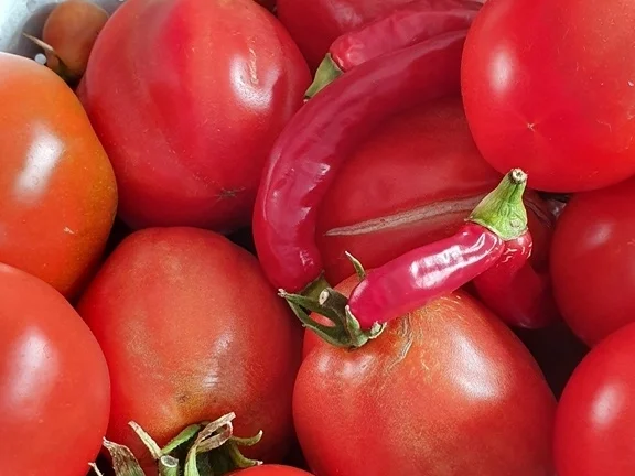 Rezept: T- Bone Steak mit versch. Beilagen = kochbar Challenge 6.0 (Juni 2020) Bild Nr. 10521 T- Bone Steak mit versch. Beilagen = kochbar Challenge 6.0 (Juni 2020) - Rezept - Bild Nr. 10521