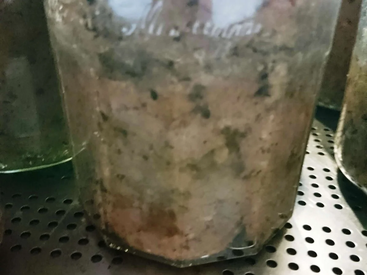 Rezept: Leberwurst "Berliner Art" Bild Nr. 2 Leberwurst "Berliner Art" - Rezept - Bild Nr. 2