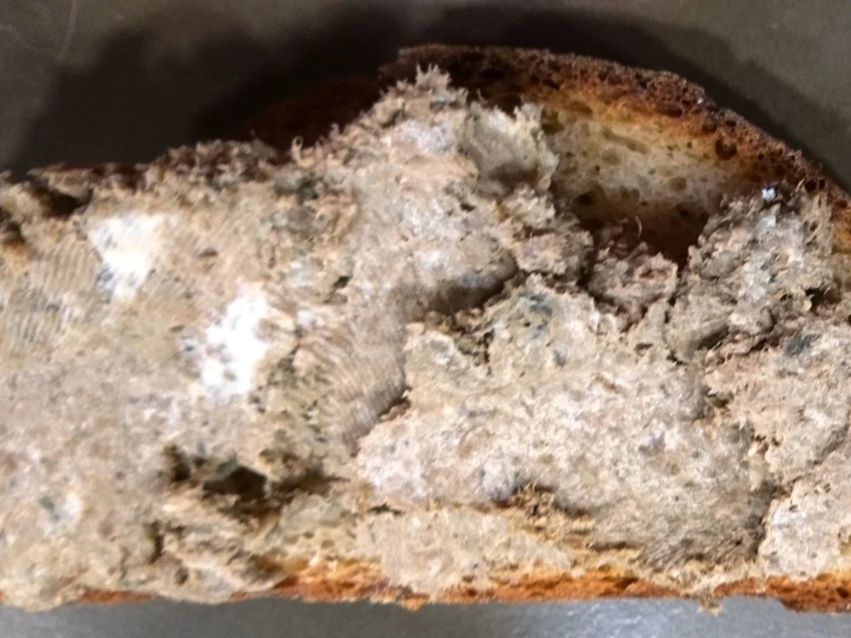 Rezept: Leberwurst "Berliner Art" Bild Nr. 3 Leberwurst "Berliner Art" - Rezept - Bild Nr. 3