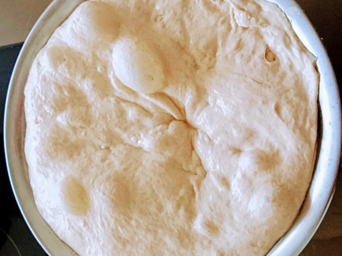 Dinkel-Buttermilch Brötchen no knead - Rezept - Bild Nr. 11